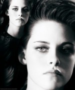 ImageBam image upload