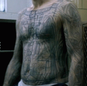 ����� �������� ������ � Wentworth Miller