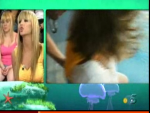 imagebam.com