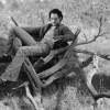 imagebam.com
